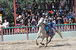 迎战骑士