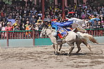 二将士骑战中