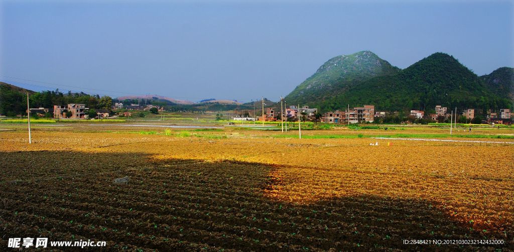 下灌风光 田园