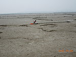 淘海