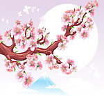 梅花