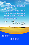 羊群效应