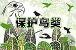保护鸟类