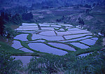 梯田