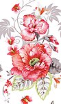 牡丹花