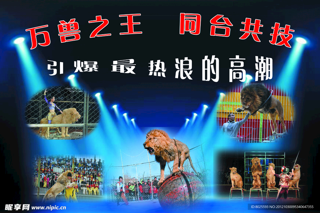 群狮表演会
