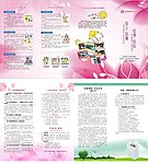 妇女联合会 四折页