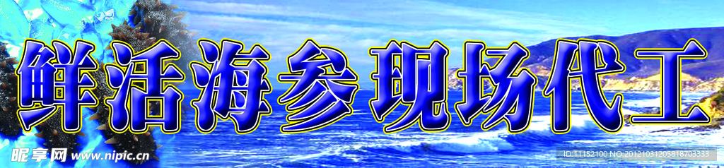 水产海参