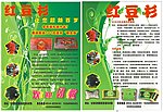 红豆衫彩页设计