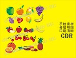 水果 矢量图