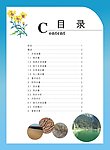 目录