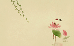 荷花背景