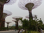 植物造柱