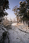 西溪湿地雪景