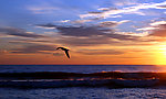 海岸夕阳