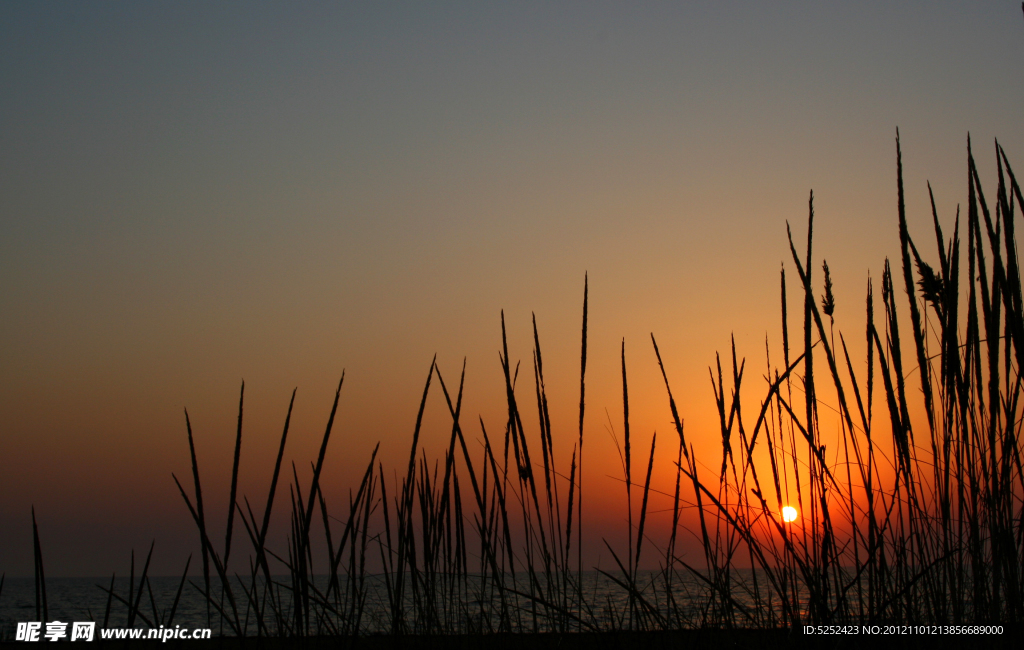 海岸夕阳风光