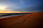 海滩夕阳