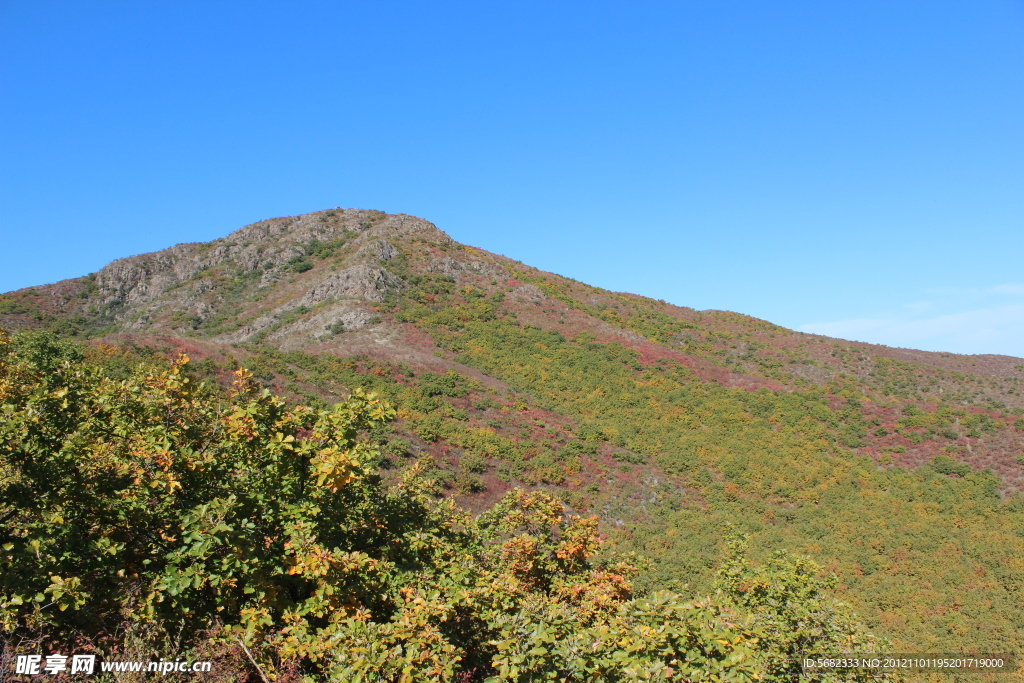 缤纷朝阳山