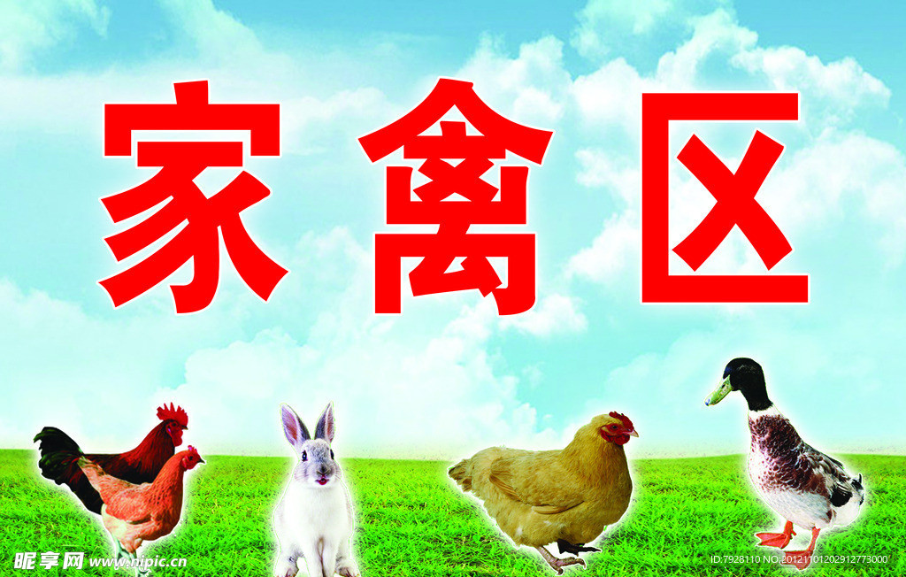 家禽