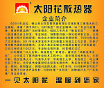 太阳花