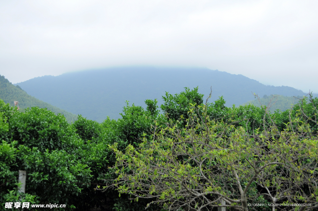 大山自然景观