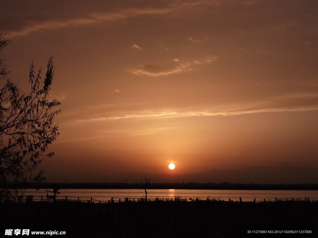 夕阳红