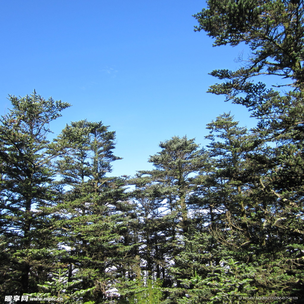 峨眉山