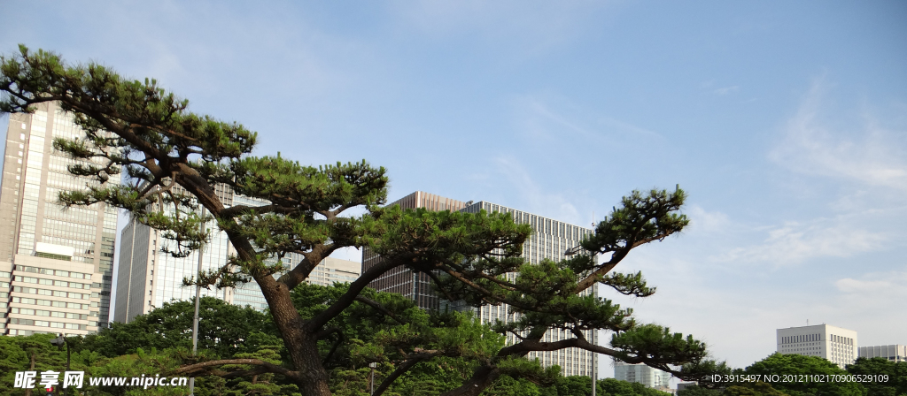 日本城市天空