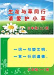 草坪牌