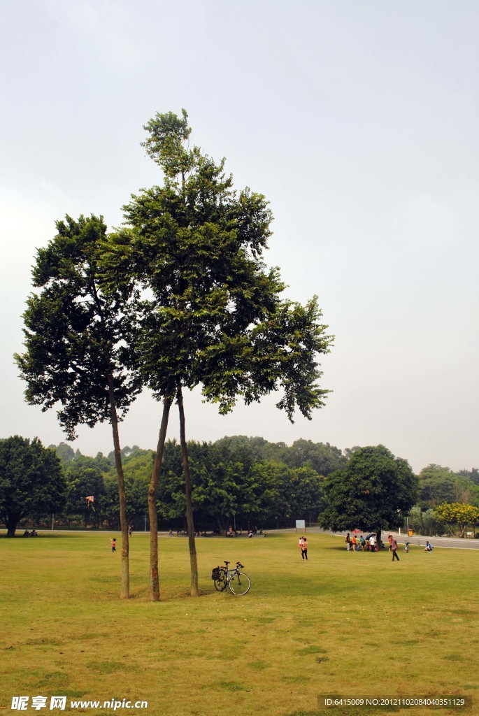 东莞南城植物园