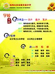 学习文化展板