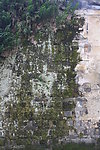 土墙纹理