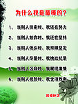 为什么我是最棒的