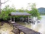小桥