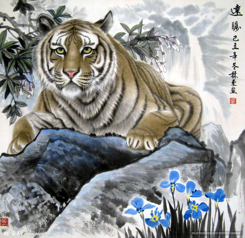 远瞩