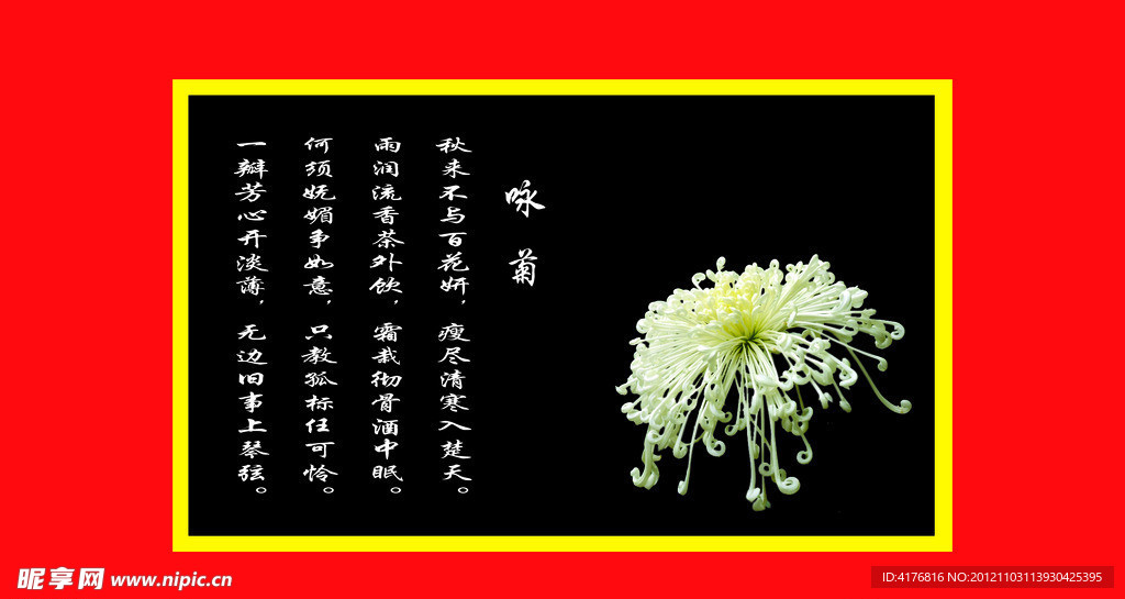 菊花
