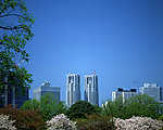 城市景