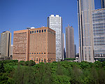 城市景