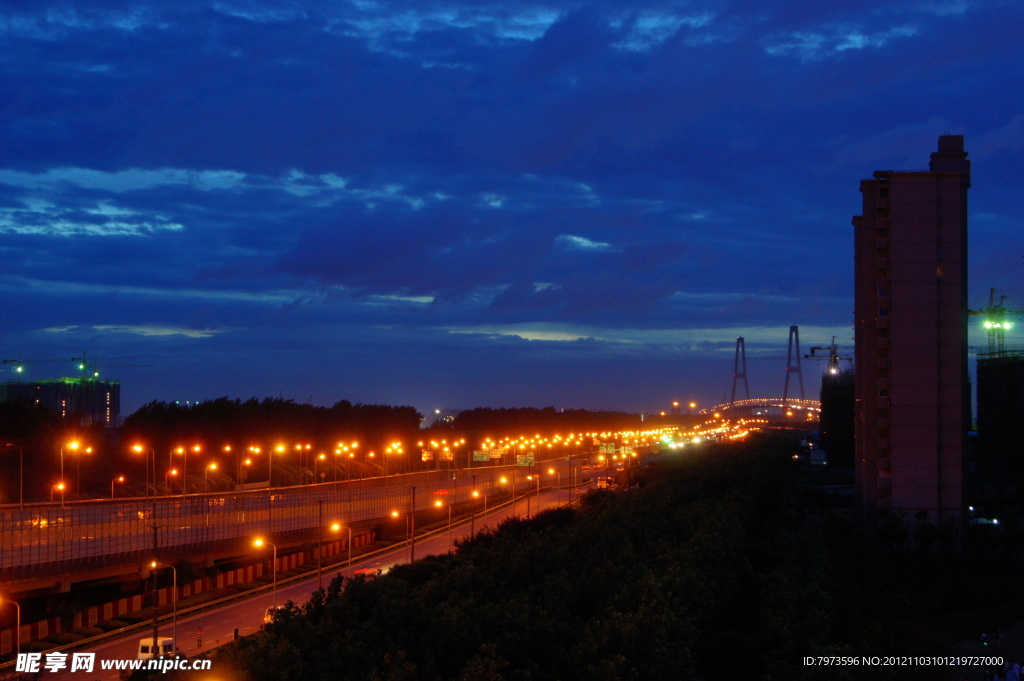 夜幕下的徐浦大桥