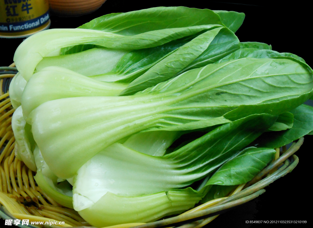 油菜