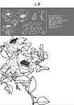 中国风花卉 山茶