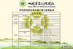 四川 农村信用社
