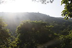 森林公园的风景