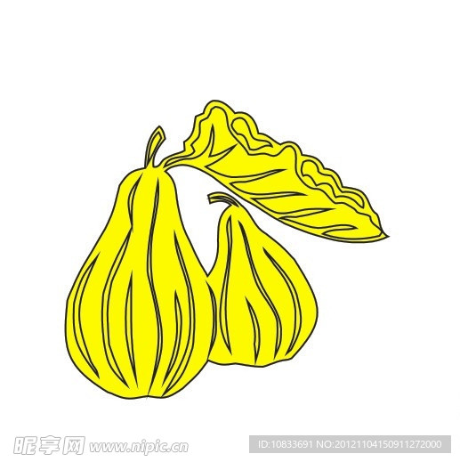 南方种的南瓜