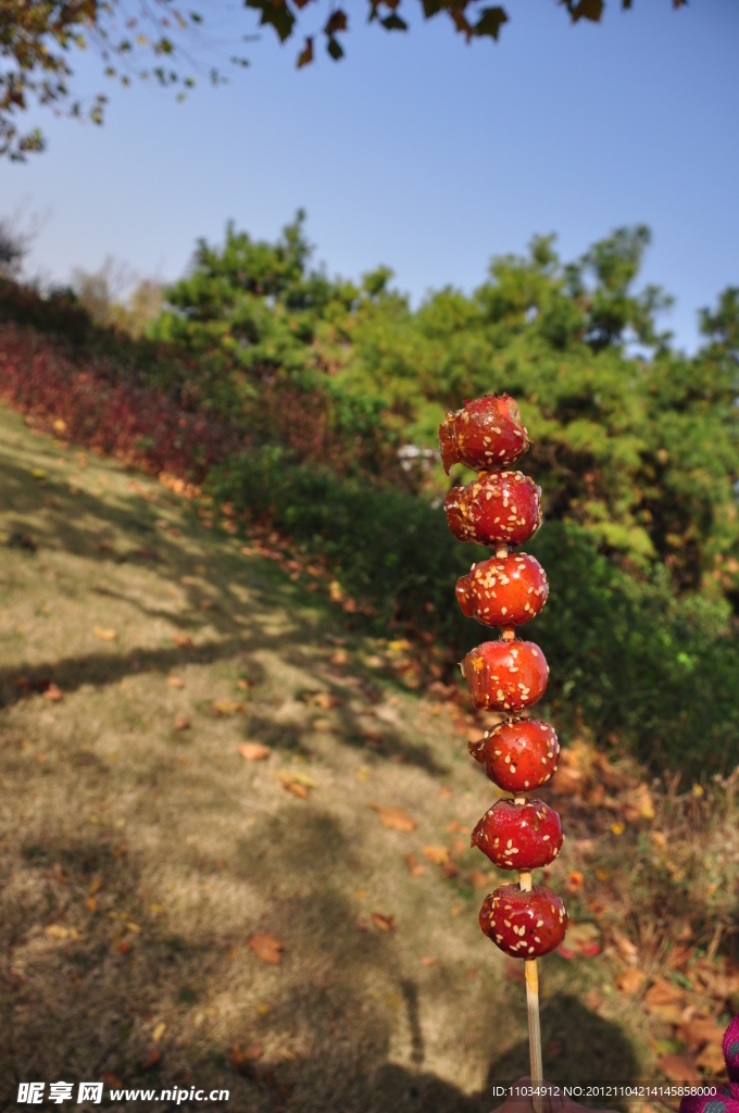 糖葫芦