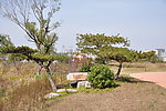 公园