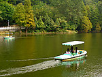 仙湖 游船
