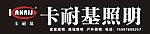 卡耐基照明