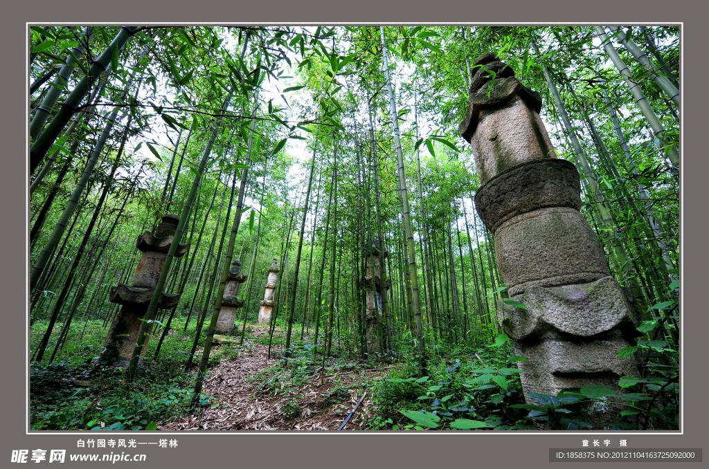 湖北省枣阳市白竹园寺风光 塔林