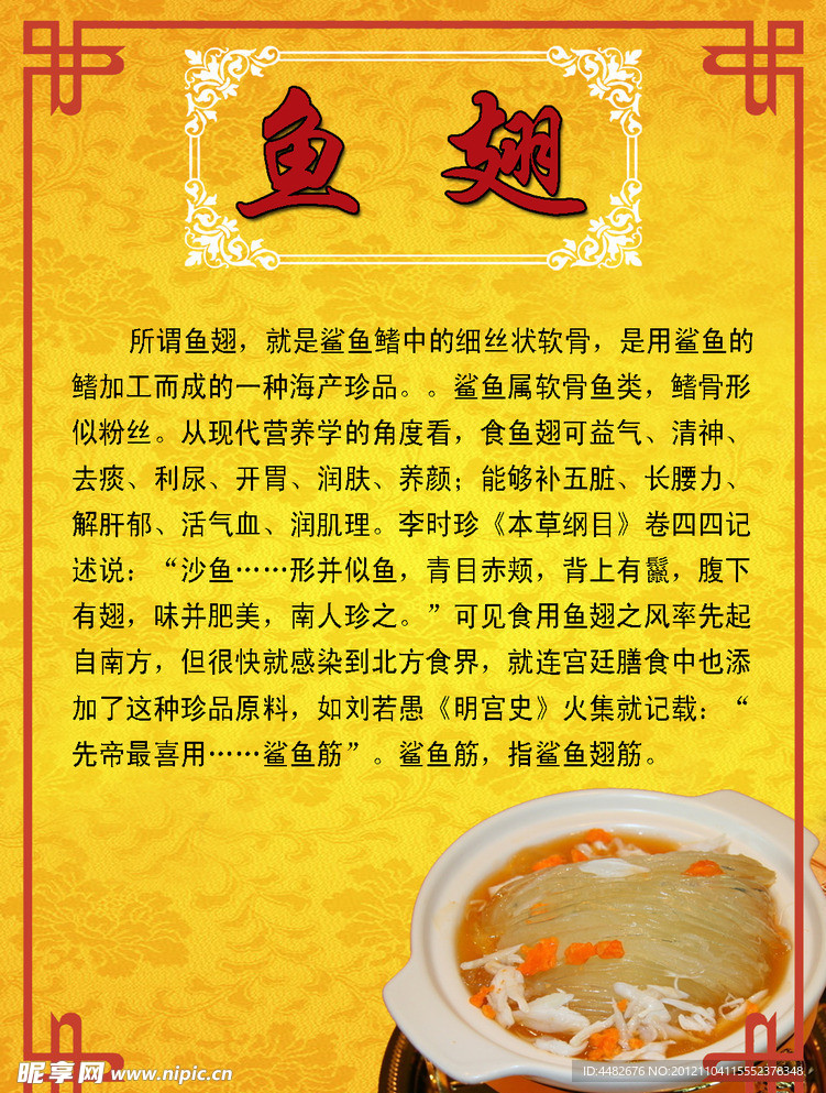 鱼翅